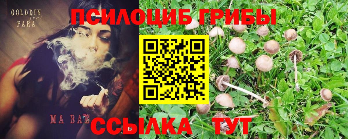 Псилоцибиновые грибы мицелий  Псилоцибиновые грибы MAGIC MUSHROOMS  Вход с VPN  Новотроицк 